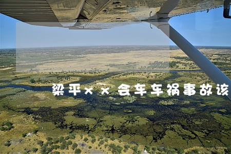 梁平xx会车车祸事故该怎么诉讼 梁平xx会车车祸事故该怎么诉讼