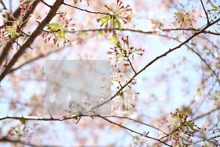 梁平区公法律咨询热线 梁平区公法律咨询热线