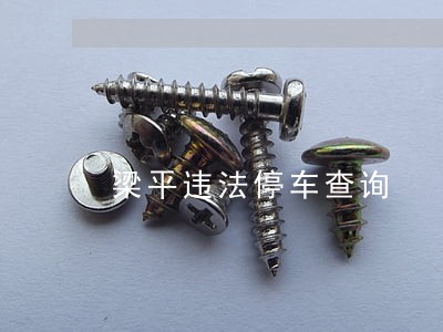 梁平违法停车查询 梁平违法停车查询