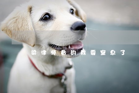 梁律师看的我要窒息了 梁律师看的我要窒息了