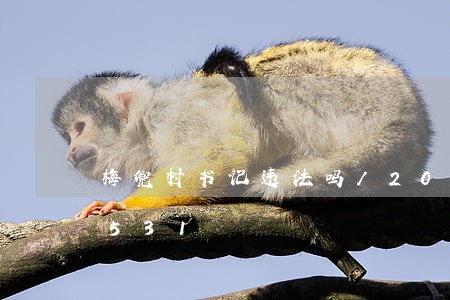 梅兜村书记违法吗/2023020467531 梅兜村书记违法吗/2023020467531