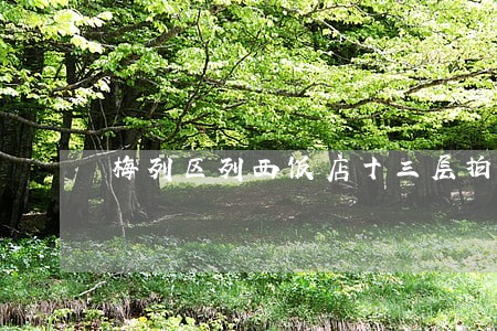 梅列区列西饭店十三层拍卖