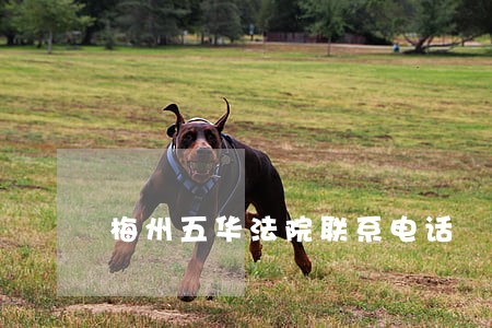 梅州五华法院联系电话