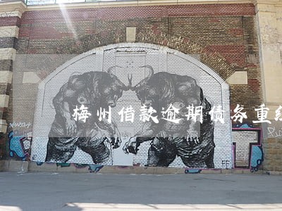 梅州借款逾期债务重组有哪些方式 梅州借款逾期债务重组有哪些方式