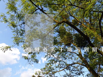 梅州市关于排污到期申请逾期 梅州市关于排污到期申请逾期