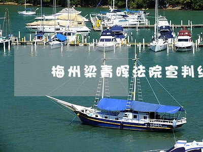 梅州梁青晖法院宣判结果 梅州梁青晖法院宣判结果