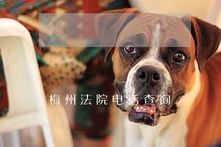 梅州法院电话查询 梅州法院电话查询