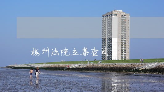 梅州法院立案查询 梅州法院立案查询