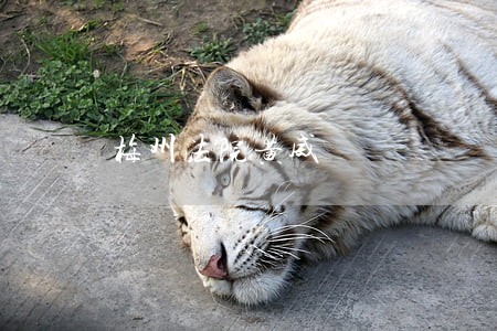 梅州法院黄威