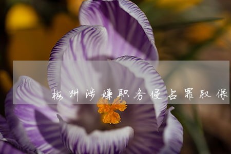 梅州涉嫌职务侵占罪取保候审律师 梅州涉嫌职务侵占罪取保候审律师
