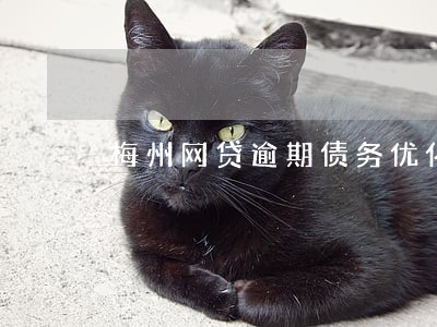 梅州网贷逾期债务优化怎么收费