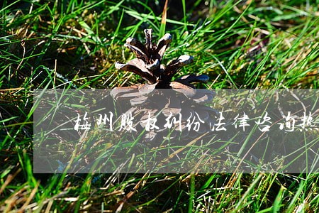 梅州股权纠纷法律咨询热线 梅州股权纠纷法律咨询热线