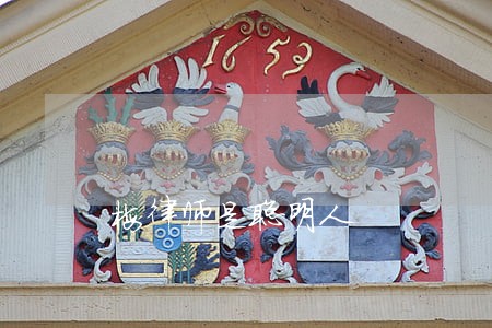 梅律师是聪明人 梅律师是聪明人