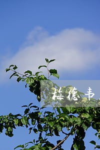 梅德韦杰夫欲改革司法 梅德韦杰夫欲改革司法