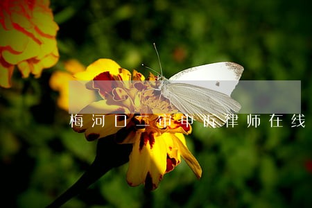 梅河口二审申诉律师在线咨询