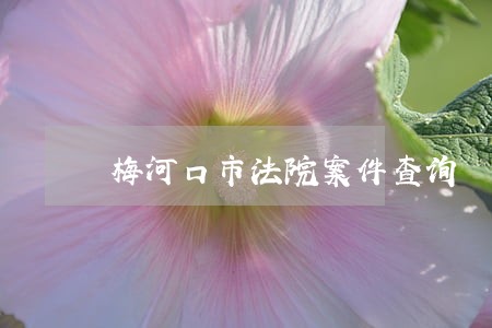 梅河口市法院案件查询 梅河口市法院案件查询