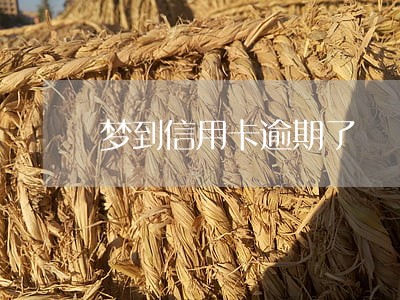 梦到信用卡逾期了 梦到信用卡逾期了