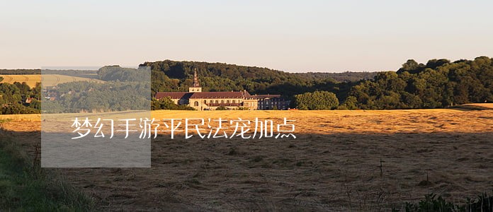 梦幻手游平民法宠加点 梦幻手游平民法宠加点