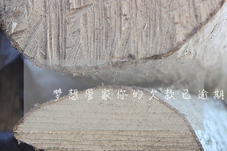 梦想管家你的欠款已逾期 梦想管家你的欠款已逾期
