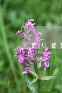 梦想管家发短信说逾期怎么回事 梦想管家发短信说逾期怎么回事