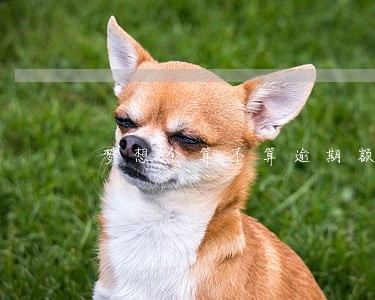 梦想金算不算逾期额度 梦想金算不算逾期额度