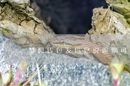 梦想钱包发信息说逾期可以报警吗 梦想钱包发信息说逾期可以报警吗