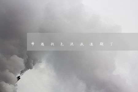 梦想钱包说我逾期了 梦想钱包说我逾期了