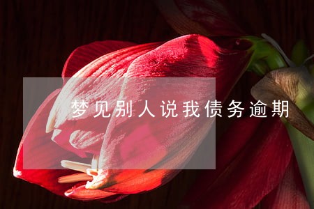 梦见别人说我债务逾期 梦见别人说我债务逾期