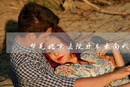 梦见北京法院开车来向我要钱 梦见北京法院开车来向我要钱