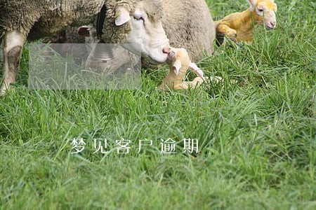 梦见客户逾期 梦见客户逾期