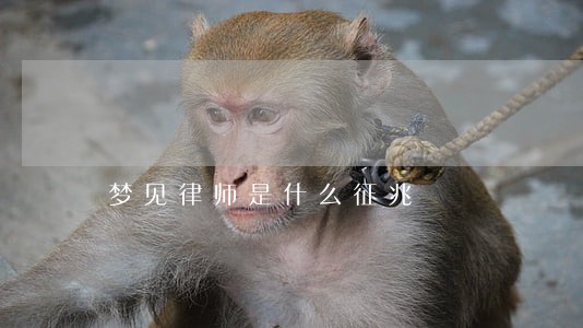 梦见律师是什么征兆 梦见律师是什么征兆