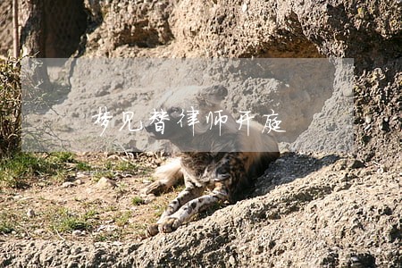梦见替律师开庭 梦见替律师开庭