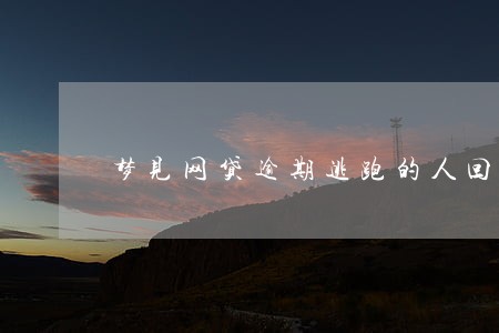 梦见网贷逾期逃跑的人回来了 梦见网贷逾期逃跑的人回来了