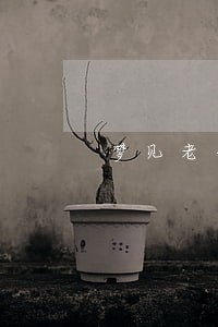 梦见老公的信用卡逾期了 梦见老公的信用卡逾期了