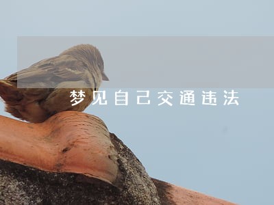 梦见自己交通违法 梦见自己交通违法