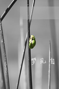 梦见自己的贷款逾期 梦见自己的贷款逾期