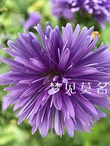 梦见莫名多出来逾期贷款 梦见莫名多出来逾期贷款