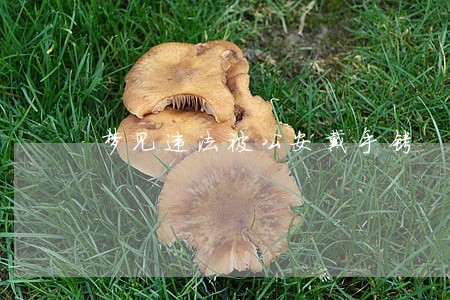 梦见违法被公安戴手铐 梦见违法被公安戴手铐
