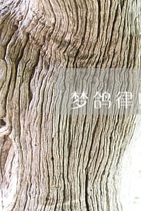 梦鸽律师 梦鸽律师