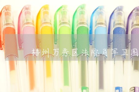 梧州万秀区法院肖军卫图片