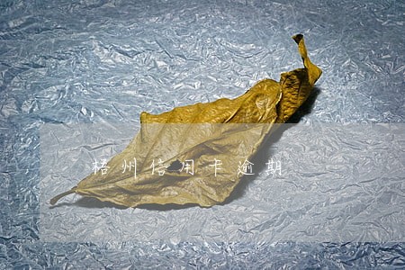 梧州信用卡逾期 梧州信用卡逾期
