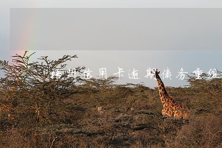 梧州信用卡逾期债务重组怎么协商