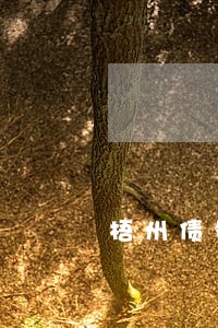 梧州债务纠纷律师 梧州债务纠纷律师