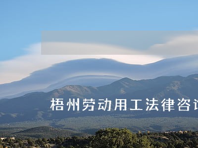 梧州劳动用工法律咨询