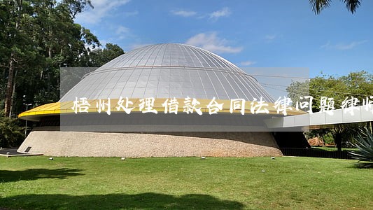 梧州处理借款合同法律问题律师 梧州处理借款合同法律问题律师