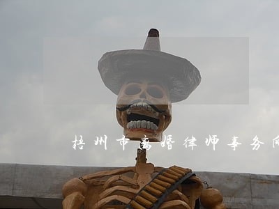 梧州市离婚律师事务所 梧州市离婚律师事务所