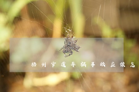 梧州窄道车祸事故应该怎么样诉讼 梧州窄道车祸事故应该怎么样诉讼