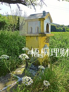 梧桐理财排队转让为什么还是逾期 梧桐理财排队转让为什么还是逾期