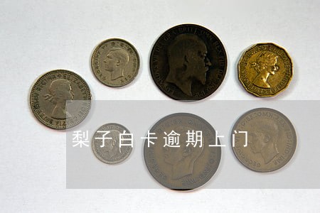 梨子白卡逾期上门