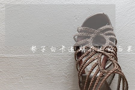 梨子白卡逾期不还的后果